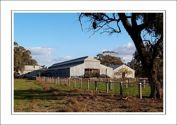 03.07.06 - W - P.COOTA WOOLSHED - (2)