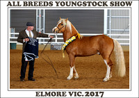 All Breeds Youngstock Show Elmore 2017