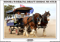 Moora Working Draft Horse Muster Sunday 2019