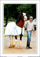 Nat. Clyd. & H. Horse Fest. - WEB - (20)