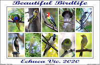 Beautiful Birdlife - Echuca Vic. 2020