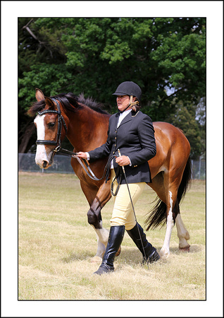 H.HORSE 2013 - ZEN - (17)