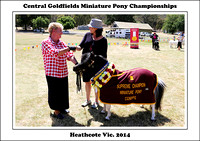 Central Goldfields Miniature Pony Group 2014