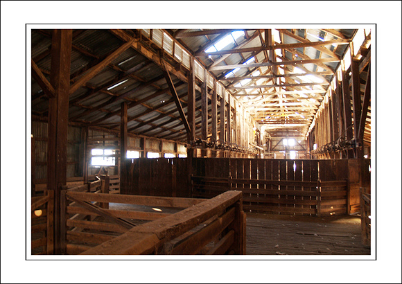 03.07.06 - W - P.COOTA WOOLSHED - (11)