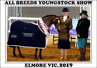 All Breeds Youngstock Show Elmore 2019