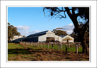 03.07.06 - W - P.COOTA WOOLSHED - (2)