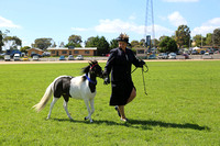 AMHS Xmas Event Bendigo 2024 - WEB - (8)