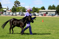 AMHS Xmas Event Bendigo 2024 - WEB - (7)