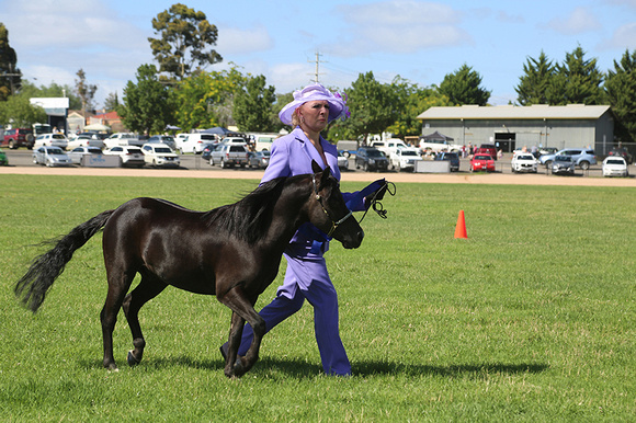 AMHS Xmas Event Bendigo 2024 - WEB - (7)