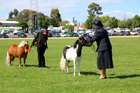 AMHS Xmas Event Bendigo 2024 - WEB - (17)