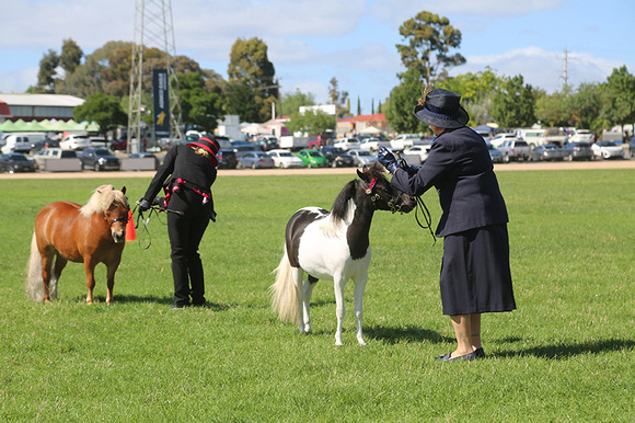 AMHS Xmas Event Bendigo 2024 - WEB - (17)