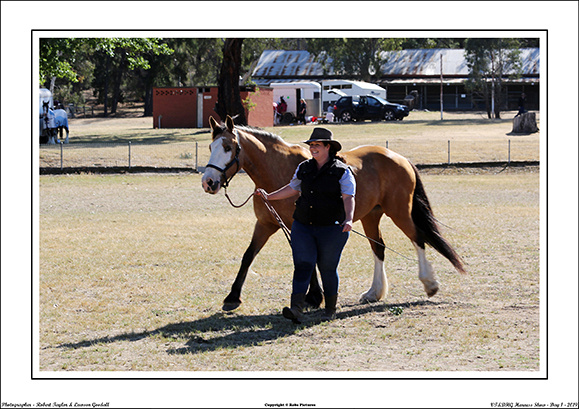 VT&DHG Harness Show 2019 - WEB - Day One (15)