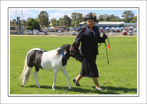 AMHS Xmas Event Bendigo 2024 - WEB - (8)