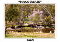 Macquarie 2008