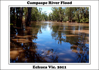 Campaspe River Flood - Echuca Vic. 2011