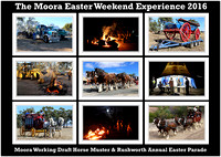 Moora W.D.Horse M. & Rushworth Easter Parade 2016