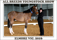 All Breeds Youngstock Show Elmore 2016