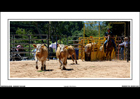 NEERIM RODEO 2017 - WEB - (10)