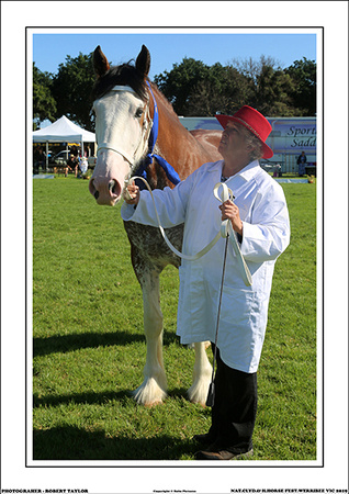 NAT.CLYD.& H.HORSE FEST. 2019 - WEB - (15)