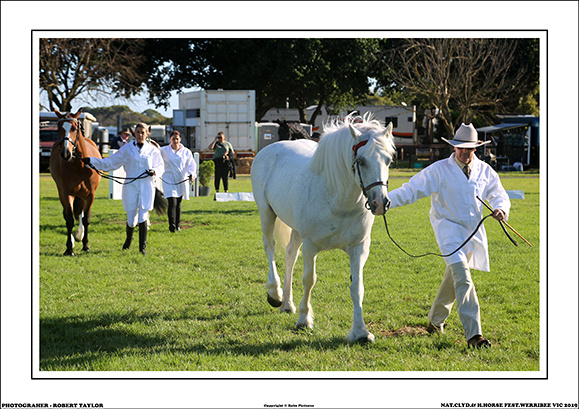 NAT.CLYD.& H.HORSE FEST. 2019 - WEB - (5)