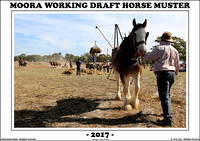 Moora Working Draft Horse Muster 2017 - Sunday
