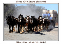 Good Old Days Festival Barallen NSW 2018