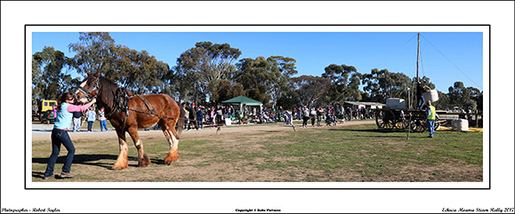 Echuca Moama Steam Rally 2017 - WEB - (95)