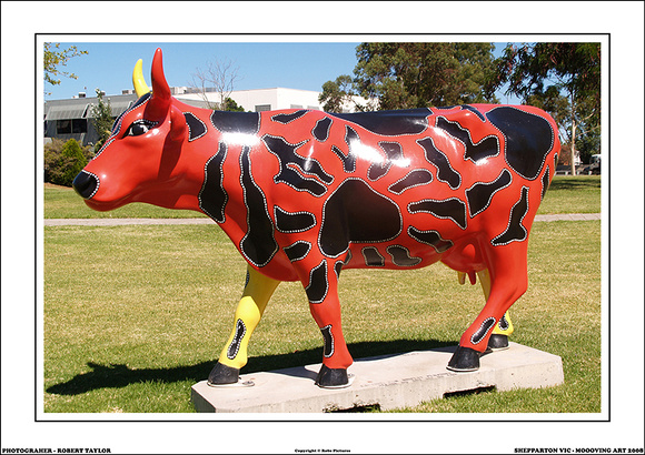 SHEPPARTON VIC 2008 - WEB - (13)