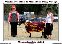 Central Goldfields Miniature Pony Championships 2015