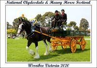 Nat. Clydesdale & Heavy Horse Festival 2020