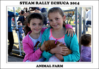 Steam Rally Echuca - 2014 - Animal Farm