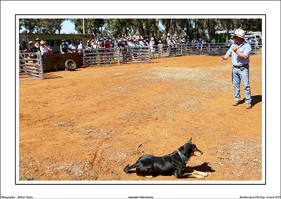 Barellan G.O.Days Fest. 2023 - WEB -  (207)