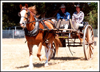 VT&DHG Championship Heathcote Vic. 2012