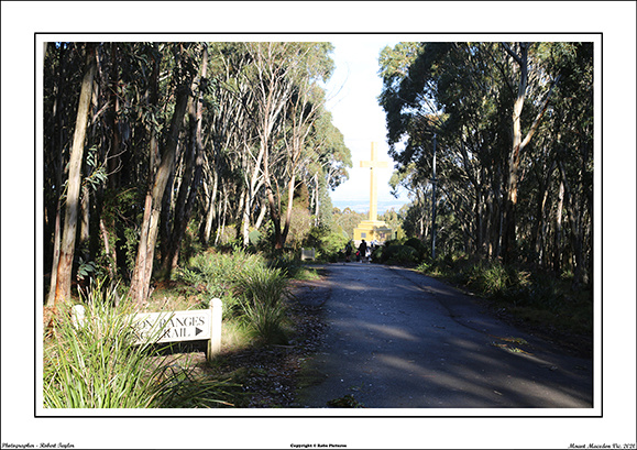 Mt. Macedon Vic - WEB - (18)