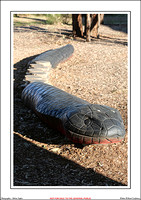 Winton Wetlands Sculptures - WEB - (8)