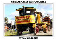 Steam Rally Echuca - 2014 - Steam Waggons