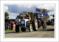 Steam Rally Echuca - 2014 - Vintage Ferguson Tractors