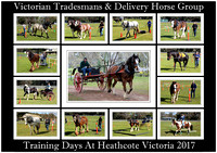 VT&DHG Training Days Heathcote Vic. - 2017