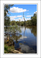 4 - 17.01.15 OVENS RIVER - W - (6)