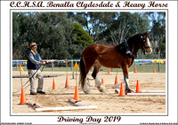 Benalla Clyd. & H.Horse Driving Day 2019