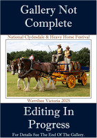 Nat.Clydesdale & H.Horse Festival 2024 - Editing