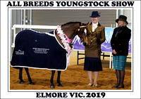 All Breeds Youngstock Show Elmore Vic. 2019