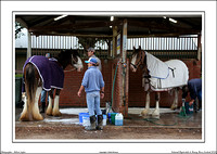 Nat. Clyd. & H. Horse Fest. - WEB - (5)