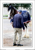 Nat. Clyd. & H. Horse Fest. - WEB - (7)