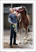 Nat. Clyd. & H. Horse Fest. - WEB - (12)