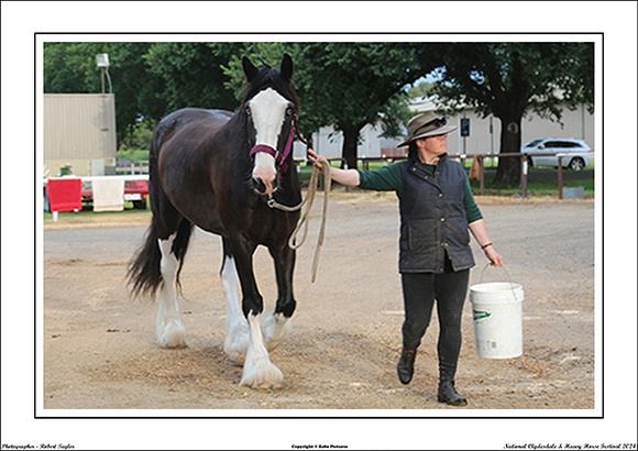 Nat. Clyd. & H. Horse Fest. - WEB - (31)