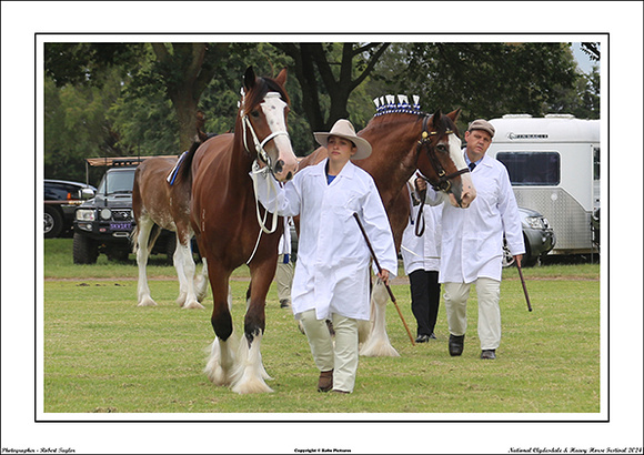 Nat. Clyd. & H. Horse Fest. - WEB - (66)