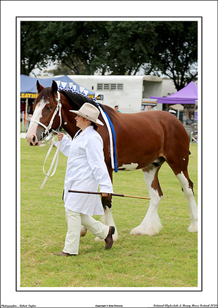 Nat. Clyd. & H. Horse Fest. - WEB - (73)