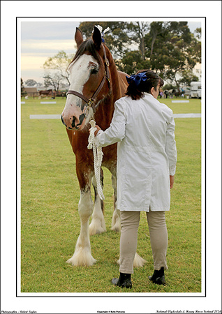 Nat. Clyd. & H. Horse Fest. - WEB - (81)