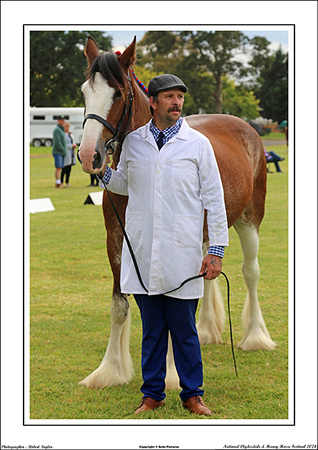 Nat. Clyd. & H. Horse Fest. - WEB - (82)